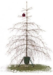 christmas-tree-dry-211x300.jpeg